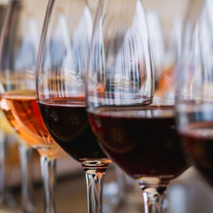 Picture of TEAMS Wine 101 : Journey through the Vines