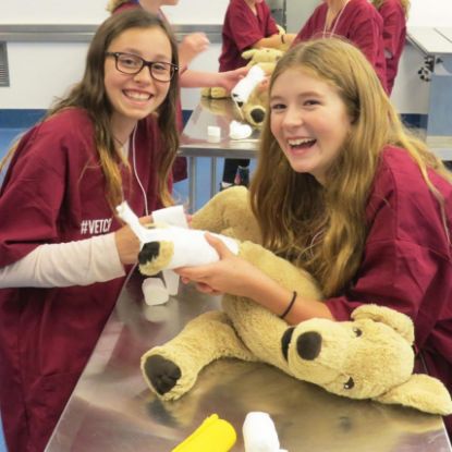 Picture of Summer Camp - Pet Vet Tech AM