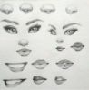 Picture of Drawing: The Human Face and Adding Details