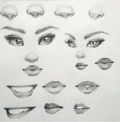 Picture of Drawing: The Human Face and Adding Details