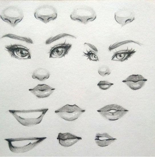 Picture of Drawing: The Human Face and Adding Details
