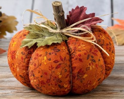 Picture of Sewing 101: Pumpkin Decoration